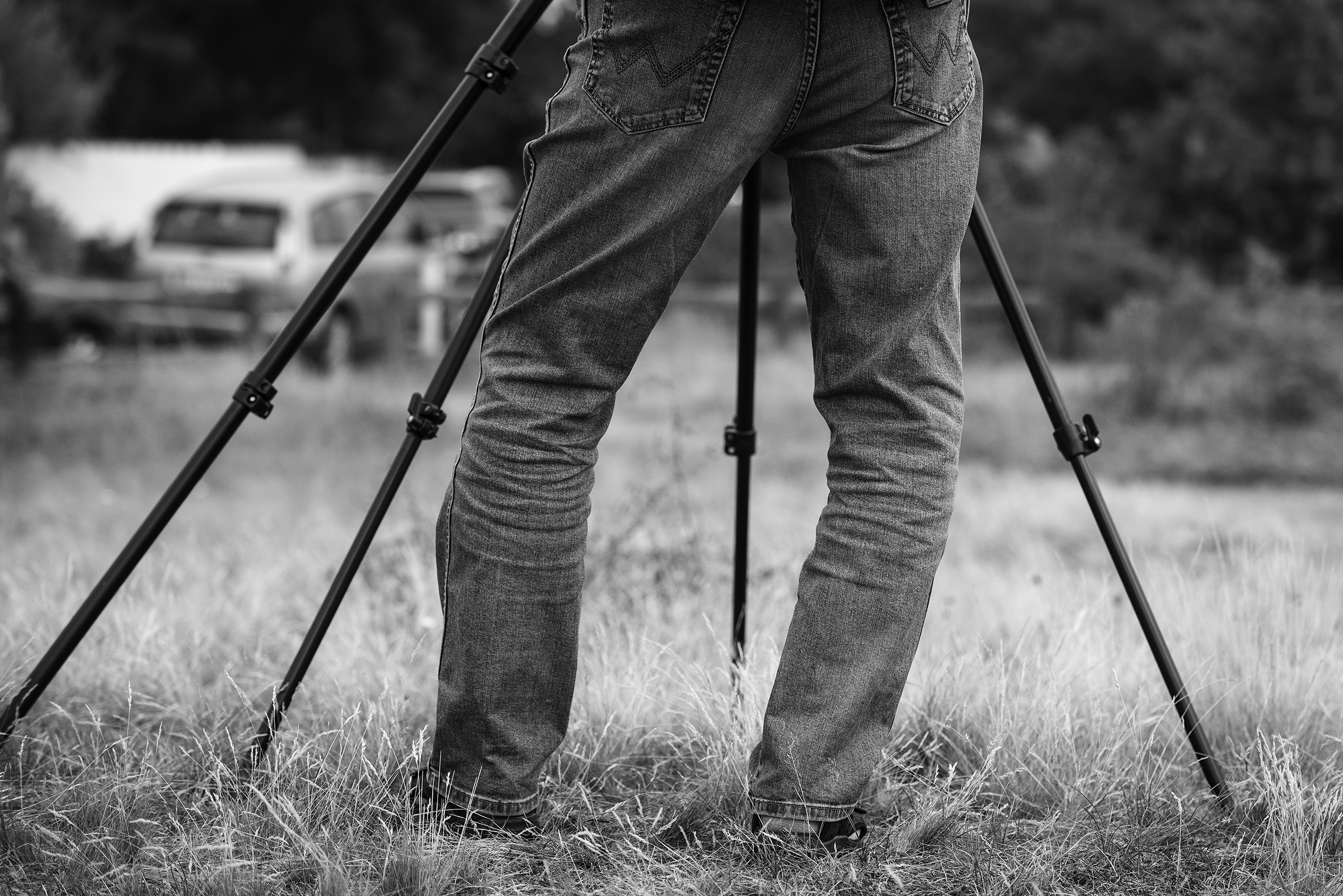 Krølben med støtteben, Falsterbo, Skåne Krølben med støtteben, Falsterbo