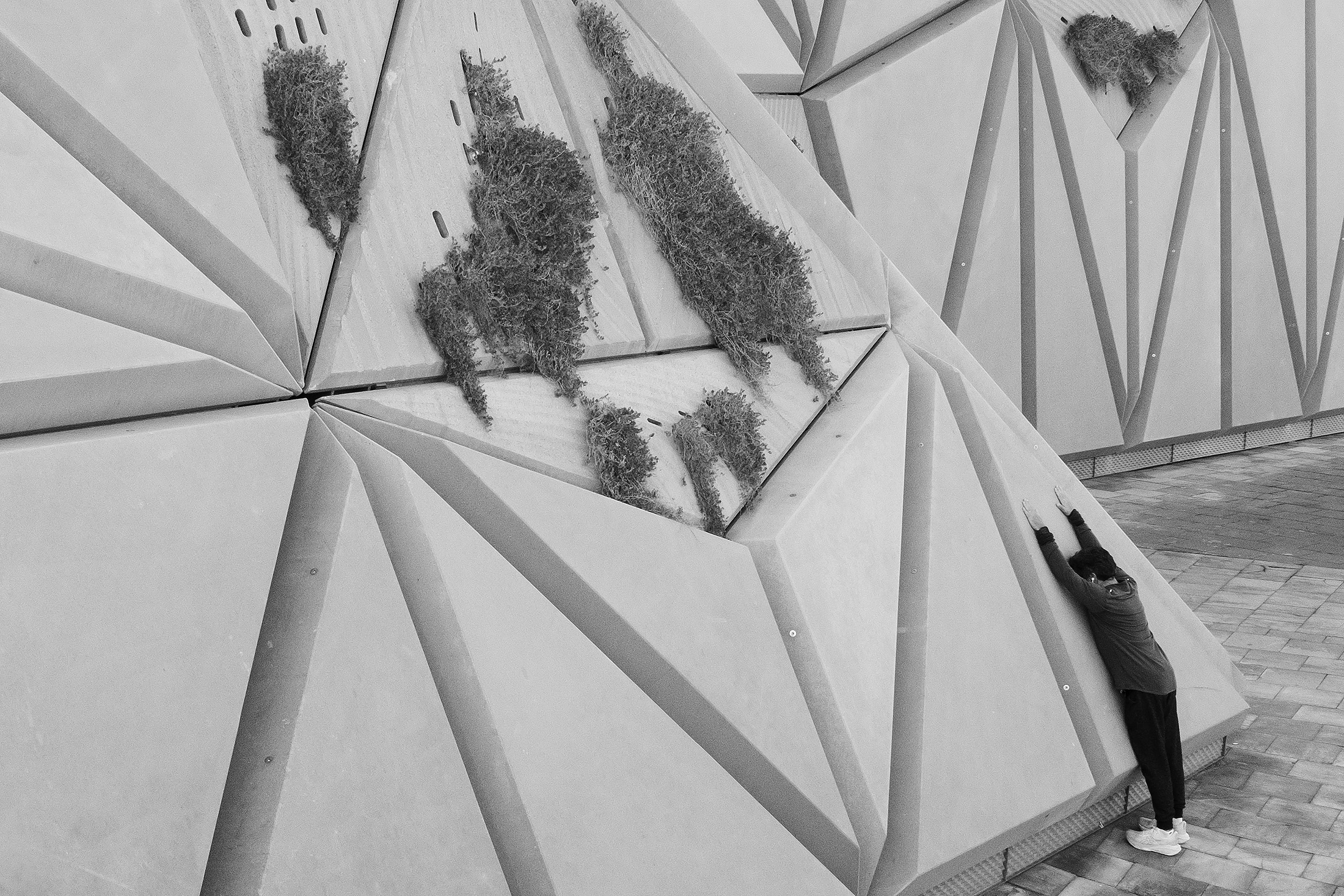 Udsplattet løber, Barcelona, Spanien Udsplattet løber, Barcelona