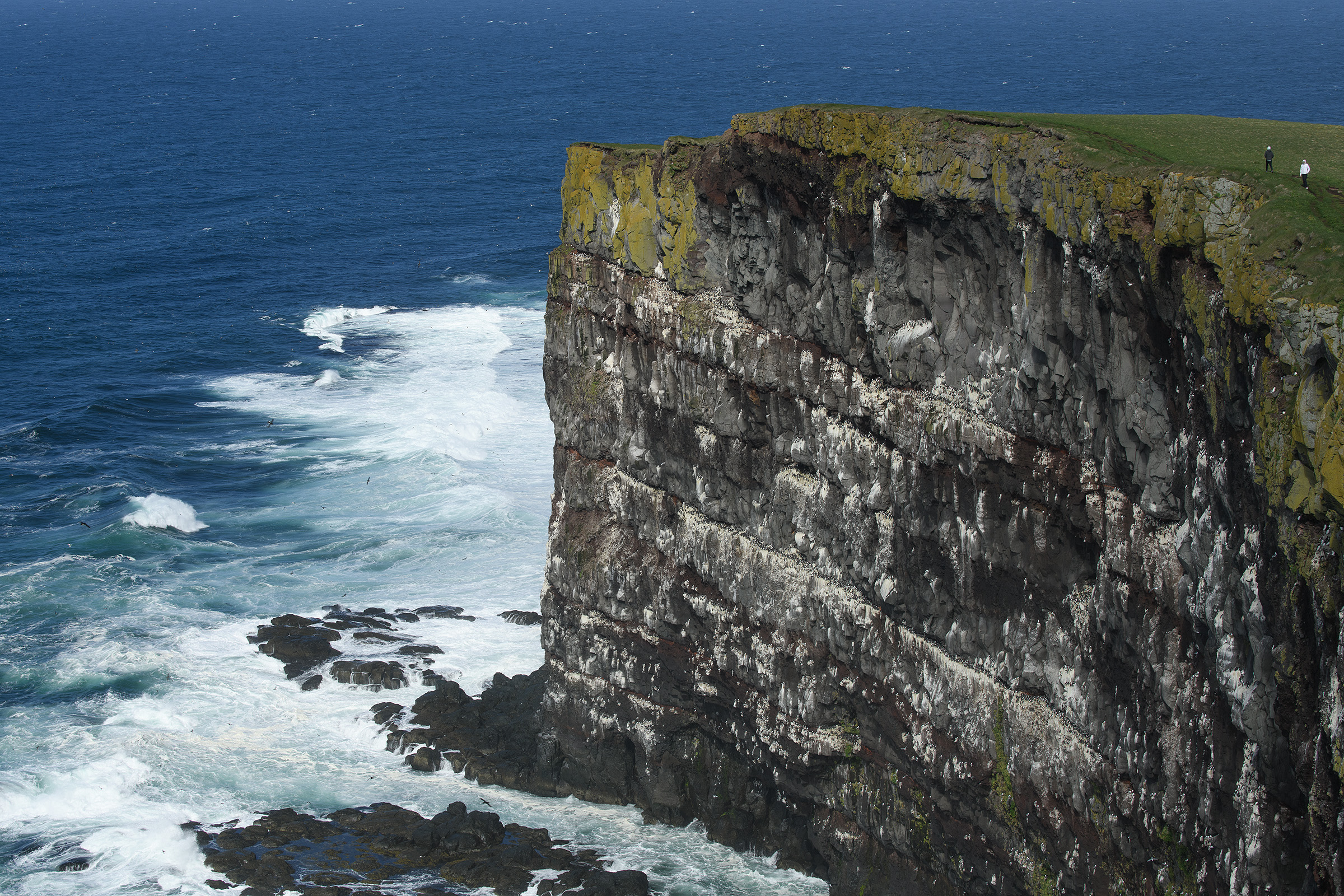 Fuglefjeldet Latrabjarg