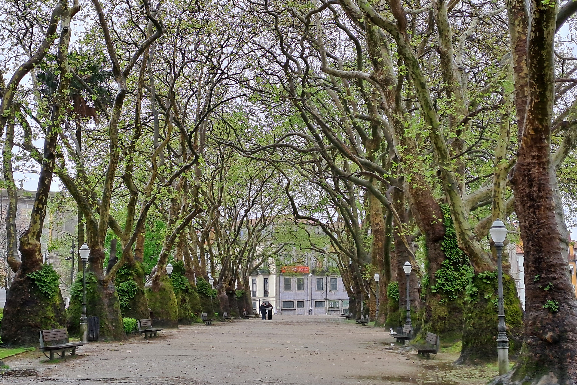 Jardim de Joao Chagas, Porto