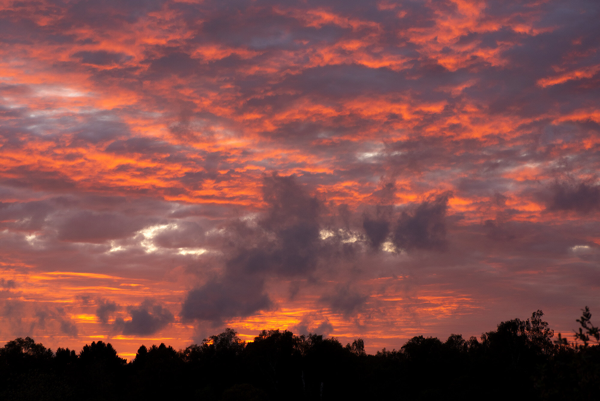 Solnedgang, Carinasøen, Birkerød