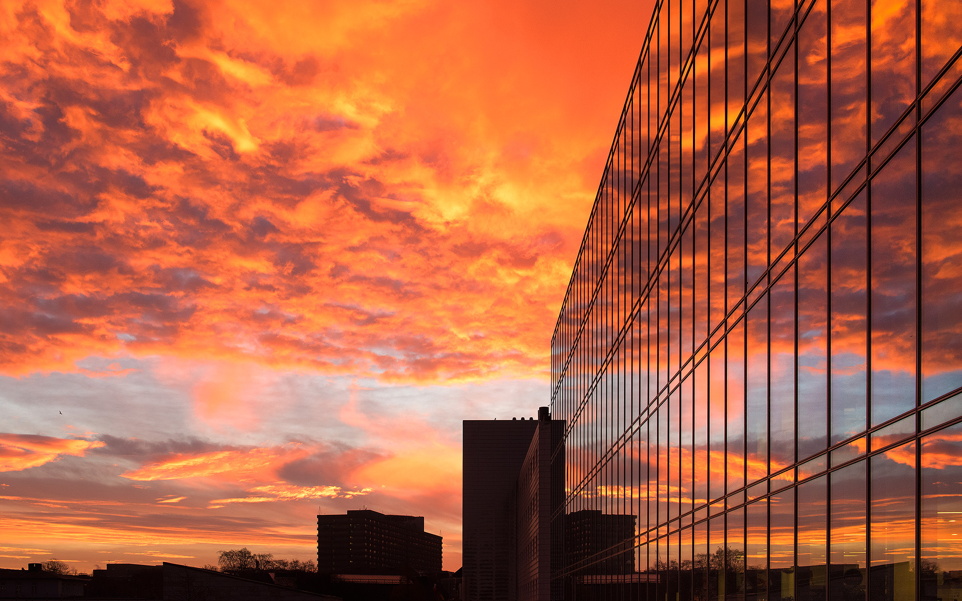 Vinterhimmel, Nørrebo, København Vinterhimmel, Nørrebo
