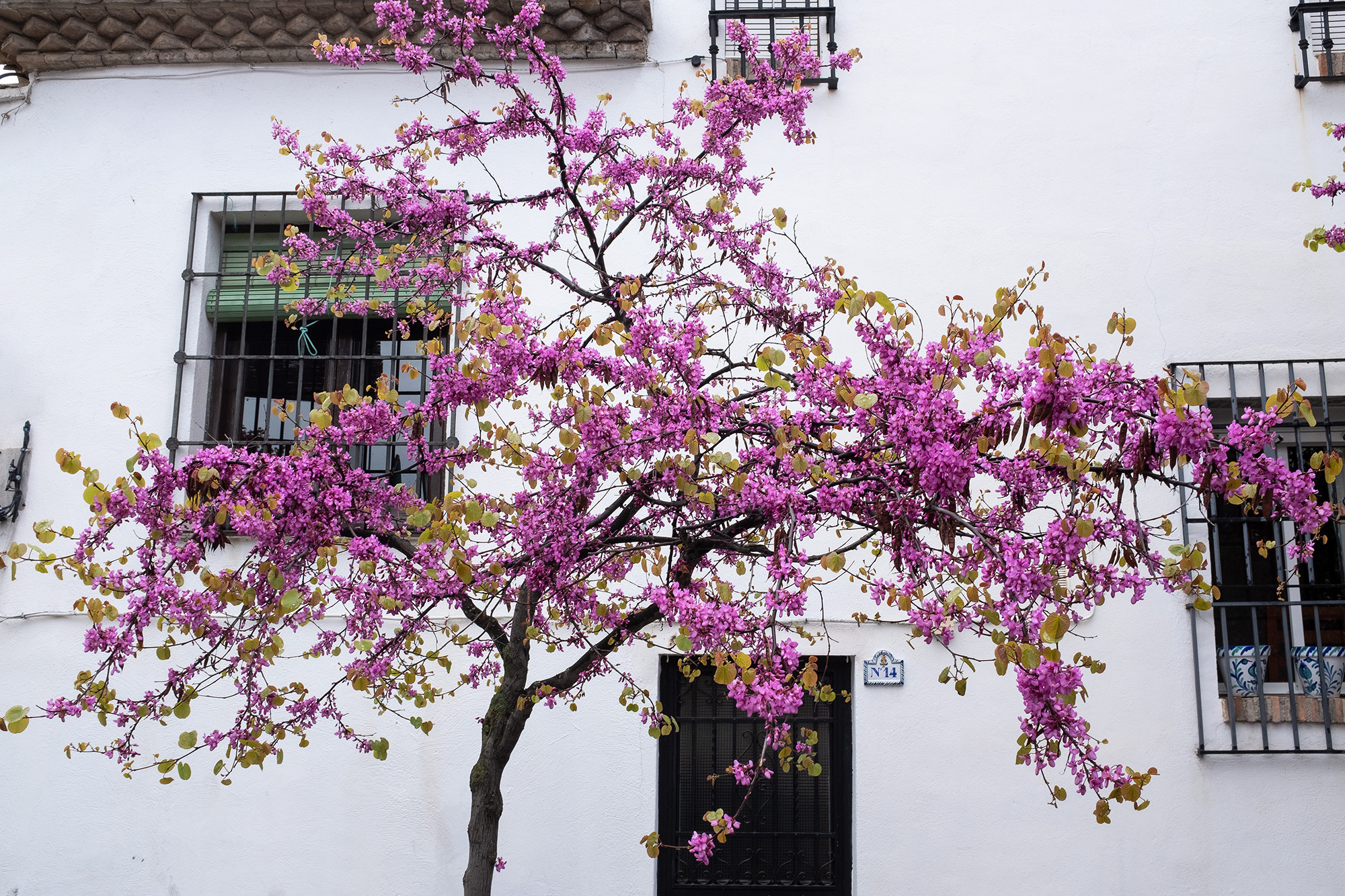 Andalusien 2019